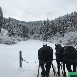 Meet your Posher, Derek